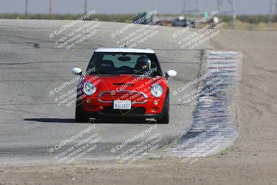 media/Oct-21-2023-Speed Ventures (Sat) [[ddf75163c5]]/Yellow/Grapevine/